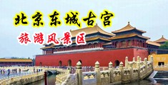 狂插猛操中国北京-东城古宫旅游风景区